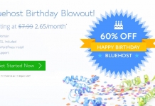 Bluehost Birthday Sale