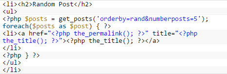 ブログ記事をレムドムに表示するコード（Source：wpbeginner.com）
