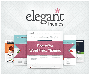 WordPress Theme Divi by Elegant Themes - the most popular WordPress theme